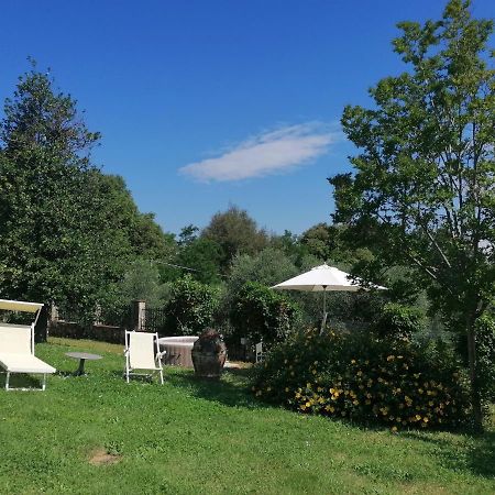 Appartamento La Vedetta Lucca Esterno foto